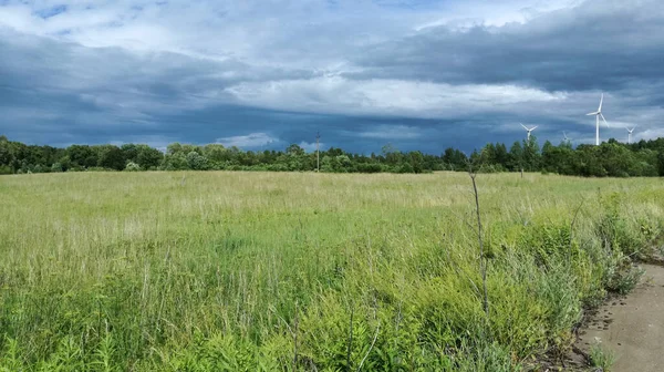 A landscape of a wild field and a gray sky with an unusual funnel in the clouds.
