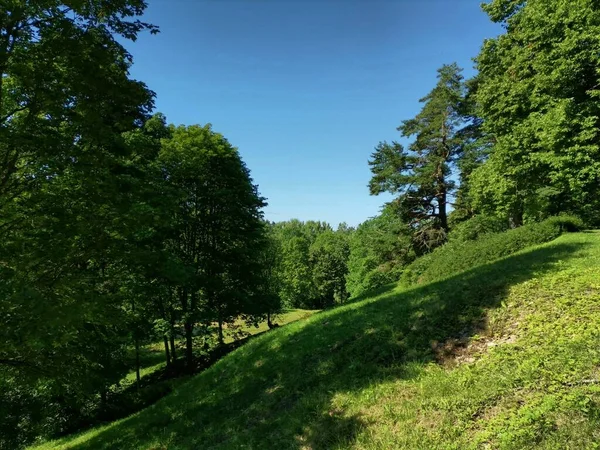 Der Hang Ist Mit Grünem Gras Bedeckt Darüber Und Darunter — Stockfoto
