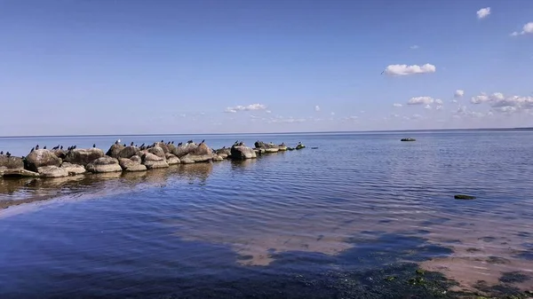 Kuşların akın ettiği bir kıyı graniti, sakin bir denizin arka planında bulutlarla mavi bir gökyüzünün altında..