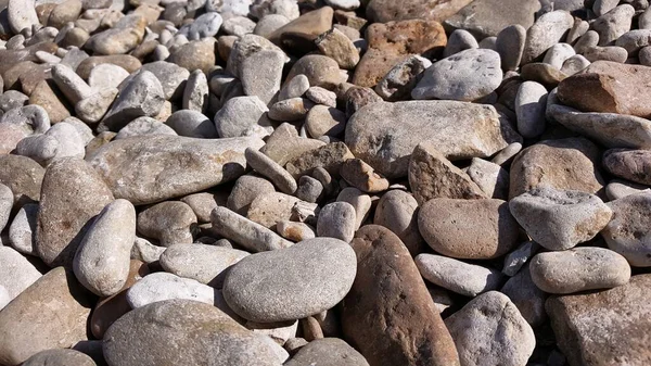 Natürliche Kieselsteine Und Steine Der Nähe Des Meeres Für Hintergründe — Stockfoto
