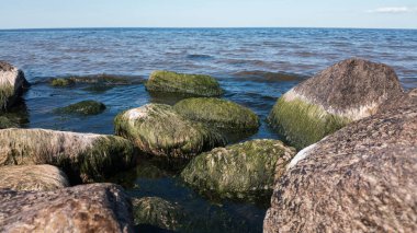 Deniz manzarasında, yeşil alglerle kaplanmış büyük sualtı granit taşları mavi bir gökyüzünün altında suyun üzerindeydi..
