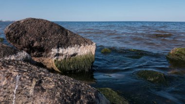 Güneş tarafından yukarıdan siyaha doğru yanmış granit bir kaya parçası, ve aşağıdan beyaz-yeşil algler ile kaplanmış olarak, Finlandiya Körfezi 'nin tatlı sularından, güneşli bir günün mavi gökyüzünün arka planına karşı çıkmıştır..