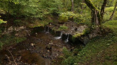 Sonbaharda yaprak döken bir ormanın gölgesinde küçük ama güzel bir şelale oluşturan dolambaçlı bir orman nehri akar..