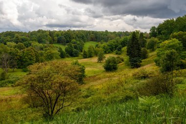 Estonya 'daki Toila-Oru Parkı' nda karışık orman ve yemyeşil çayırlarla dolu engin bir tepe manzarası. Bulutlu gökyüzü ve çeşitli bitkiler yaz sonlarında huzurlu bir manzara yaratır..