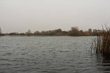Estonya 'nın Narva kentindeki soğuk bir göl bulutlu bir sabah manzarası. Endüstriyel bölge binaları, sonbahar sonlarında sisli sahilde ağaç hattının arkasında görünür..