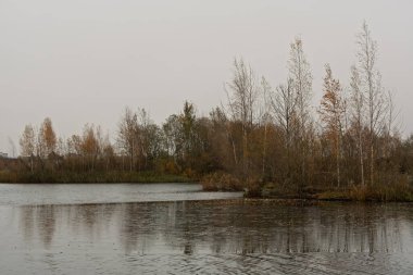 Estonya 'nın Narva kenti yakınlarında sakin ve gri bir göl manzarası. İnce, koyu buz, suyu kaplıyor, seyrek sonbahar ağaçlarını yansıtıyor ve bulutlu gökyüzünü karamsar bir atmosfer yaratıyor..