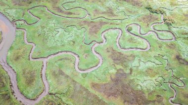 Bataklık şekillerinin havadan görünüşü
