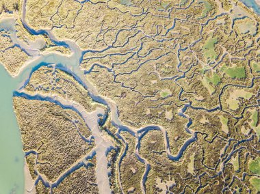 Bataklık şekillerinin havadan görünüşü