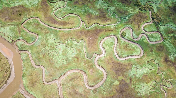 Vista Aérea Formas Pântano — Fotografia de Stock