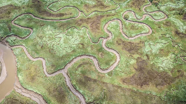 Vista Aérea Formas Pântano — Fotografia de Stock