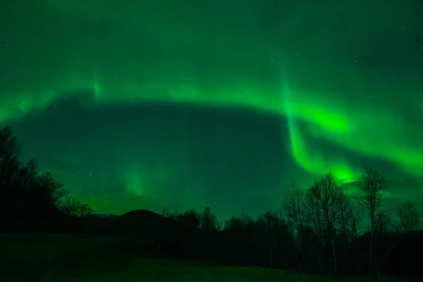 Изумительное Северное Сияние Норвежскую Ночь — стоковое фото