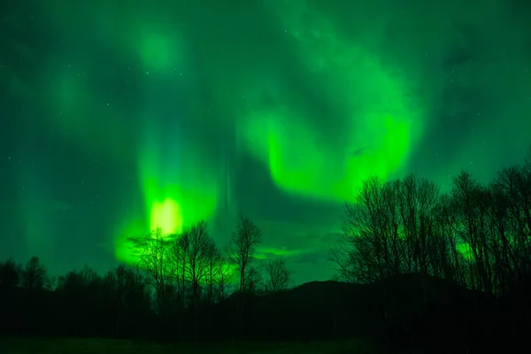 Καταπληκτικά Βόρεια Φώτα Στη Νορβηγική Νύχτα — Φωτογραφία Αρχείου