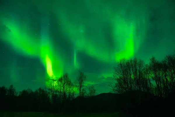 ノルウェーの夜の素晴らしいオーロラは — ストック写真