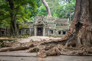 Angkor Wat kompleksinin inanılmaz kalıntıları, Kamboçya