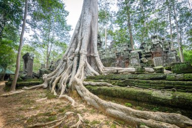 Angkor Wat kompleksinin inanılmaz kalıntıları, Kamboçya