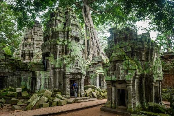 Úžasné Ruiny Angkor Wat Komplex Kambodža — Stock fotografie
