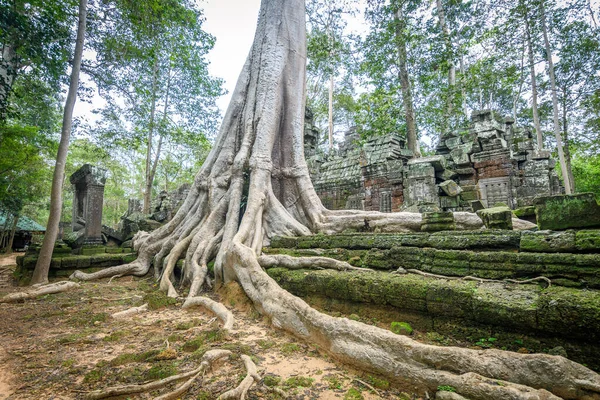 Angkor Wat kompleksinin inanılmaz kalıntıları, Kamboçya
