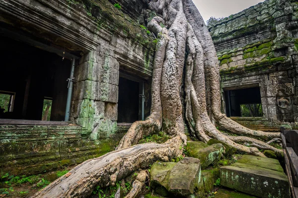 Καταπληκτικά Ερείπια Του Συγκροτήματος Angkor Wat Cambodia — Φωτογραφία Αρχείου