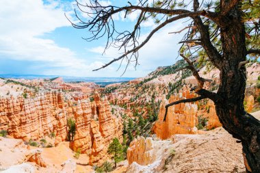 Britanya Kanyonu kabadayılarının panoramik görüntüsü, Utah