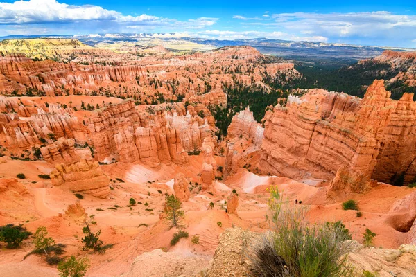 Panoramautsikt Över Bryce Canyon Hoodoos Utah — Stockfoto