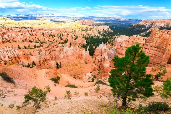 Vue Panoramique Sur Bryce Canyon Hoodoos Utah — Photo