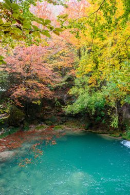 Ürederra kaynaklı renkli sonbahar manzarası, İspanya