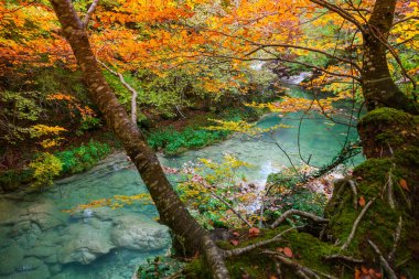Ürederra kaynaklı renkli sonbahar manzarası, İspanya
