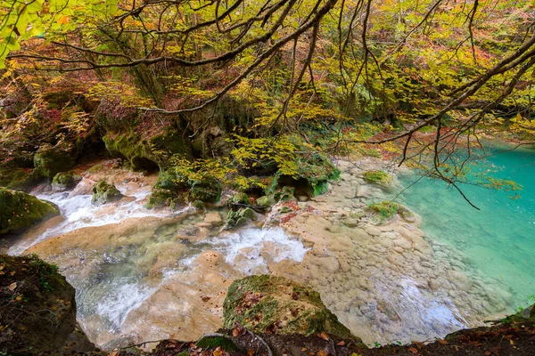 Ürederra kaynaklı renkli sonbahar manzarası, İspanya