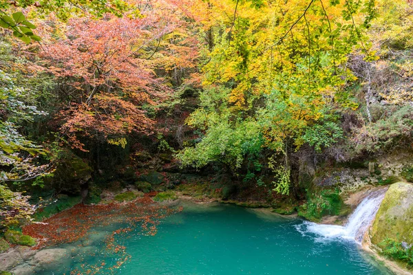 Ürederra kaynaklı renkli sonbahar manzarası, İspanya