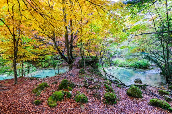 Paisagem Outono Colorido Fonte Urederra Espanha — Fotografia de Stock