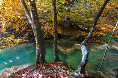 Ürederra kaynaklı renkli sonbahar manzarası, İspanya