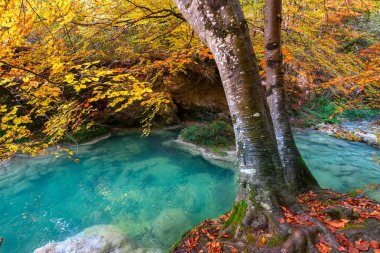 Ürederra kaynaklı renkli sonbahar manzarası, İspanya