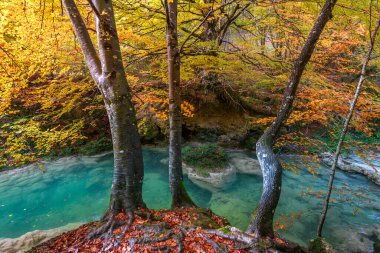 Ürederra kaynaklı renkli sonbahar manzarası, İspanya