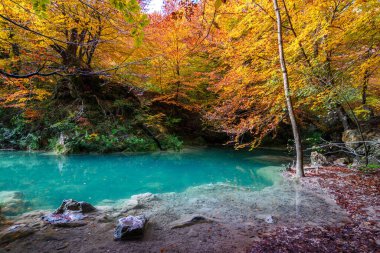 Ürederra kaynaklı renkli sonbahar manzarası, İspanya
