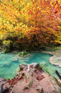 Ürederra kaynaklı renkli sonbahar manzarası, İspanya