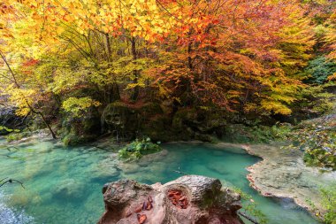 Ürederra kaynaklı renkli sonbahar manzarası, İspanya