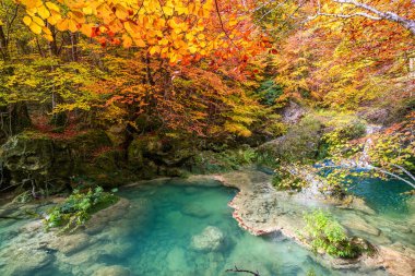 Ürederra kaynaklı renkli sonbahar manzarası, İspanya