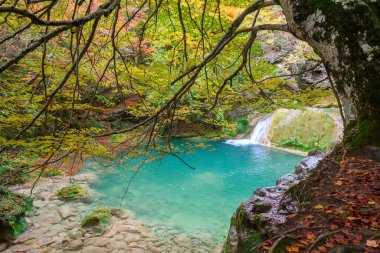 Ürederra kaynaklı renkli sonbahar manzarası, İspanya