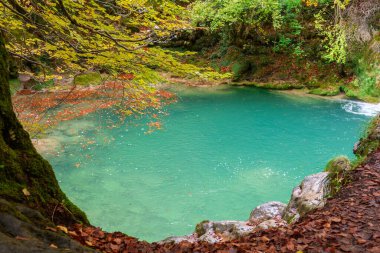 Ürederra kaynaklı renkli sonbahar manzarası, İspanya