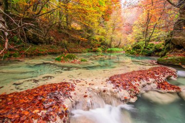 Ürederra kaynaklı renkli sonbahar manzarası, İspanya