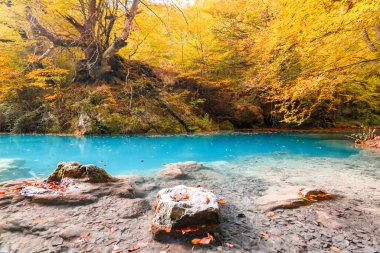 Ürederra kaynaklı renkli sonbahar manzarası, İspanya