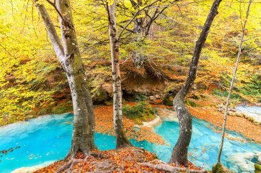 Ürederra kaynaklı renkli sonbahar manzarası, İspanya