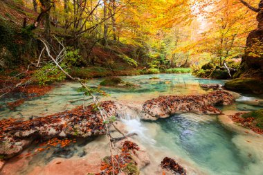 Ürederra kaynaklı renkli sonbahar manzarası, İspanya