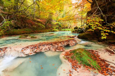 Ürederra kaynaklı renkli sonbahar manzarası, İspanya