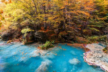 Ürederra kaynaklı renkli sonbahar manzarası, İspanya