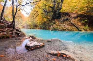 Ürederra kaynaklı renkli sonbahar manzarası, İspanya