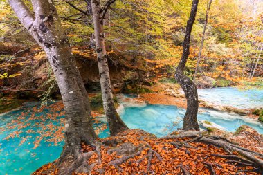 Ürederra kaynaklı renkli sonbahar manzarası, İspanya