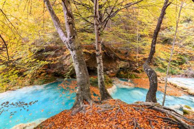 Ürederra kaynaklı renkli sonbahar manzarası, İspanya