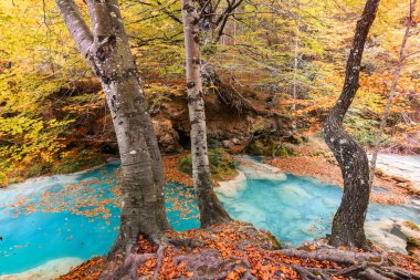 Ürederra kaynaklı renkli sonbahar manzarası, İspanya