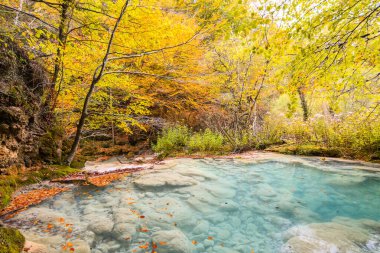 Ürederra kaynaklı renkli sonbahar manzarası, İspanya
